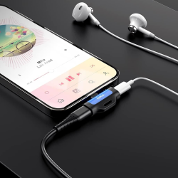Lightning Splitter 2 in 1 Audio And Charging Adapter